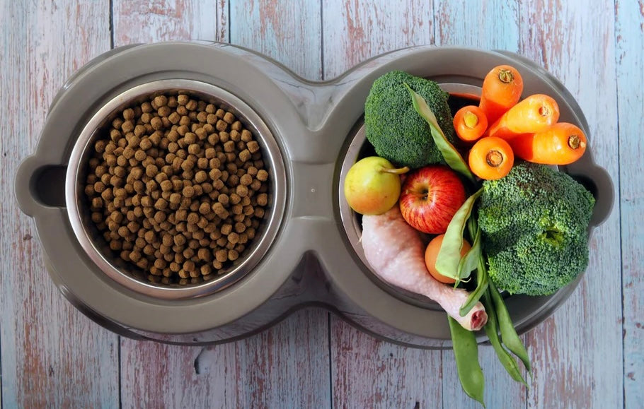 🐾 Alimentación