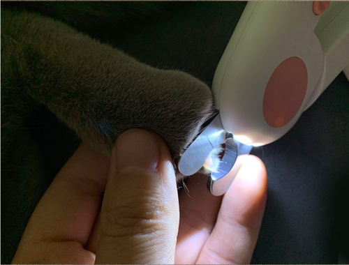 LED Nail Clipper