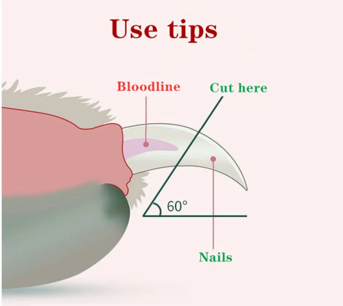 LED Nail Clipper